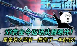 赏金令武器爆料视频,全新装备震撼来袭，揭秘神秘武器性能与特色